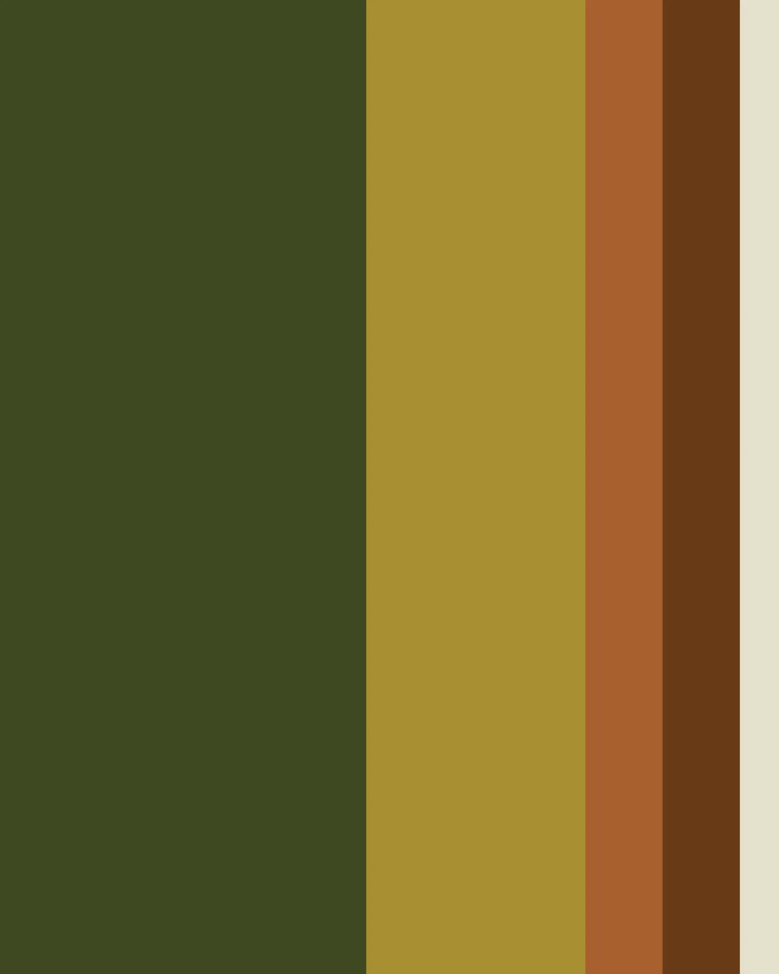 Visv Foundation colour palette — vertical swatches of forest green, olive, terracotta, deep soil brown and warm sand