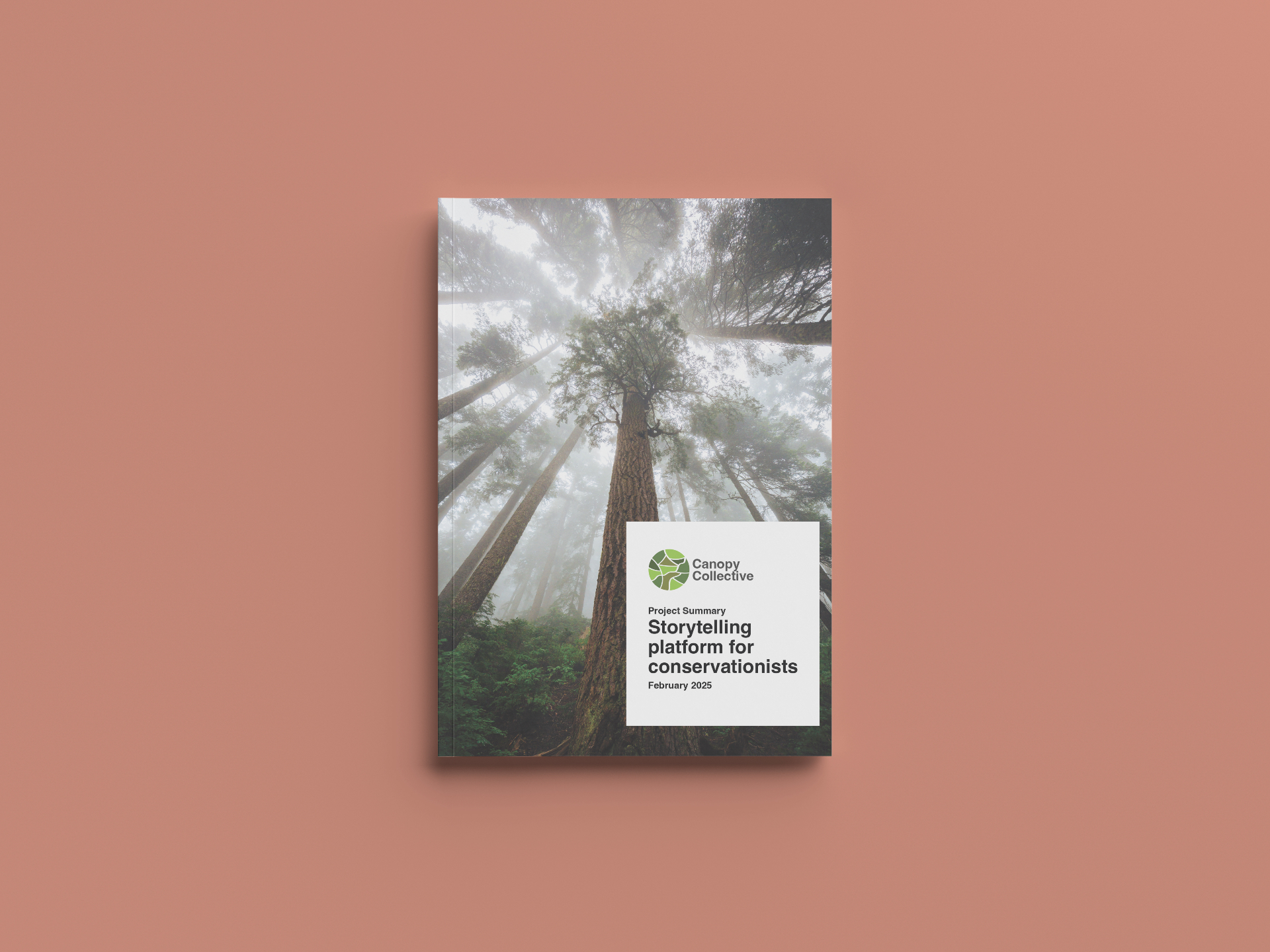 Canopy Collective - Conservation Report Design