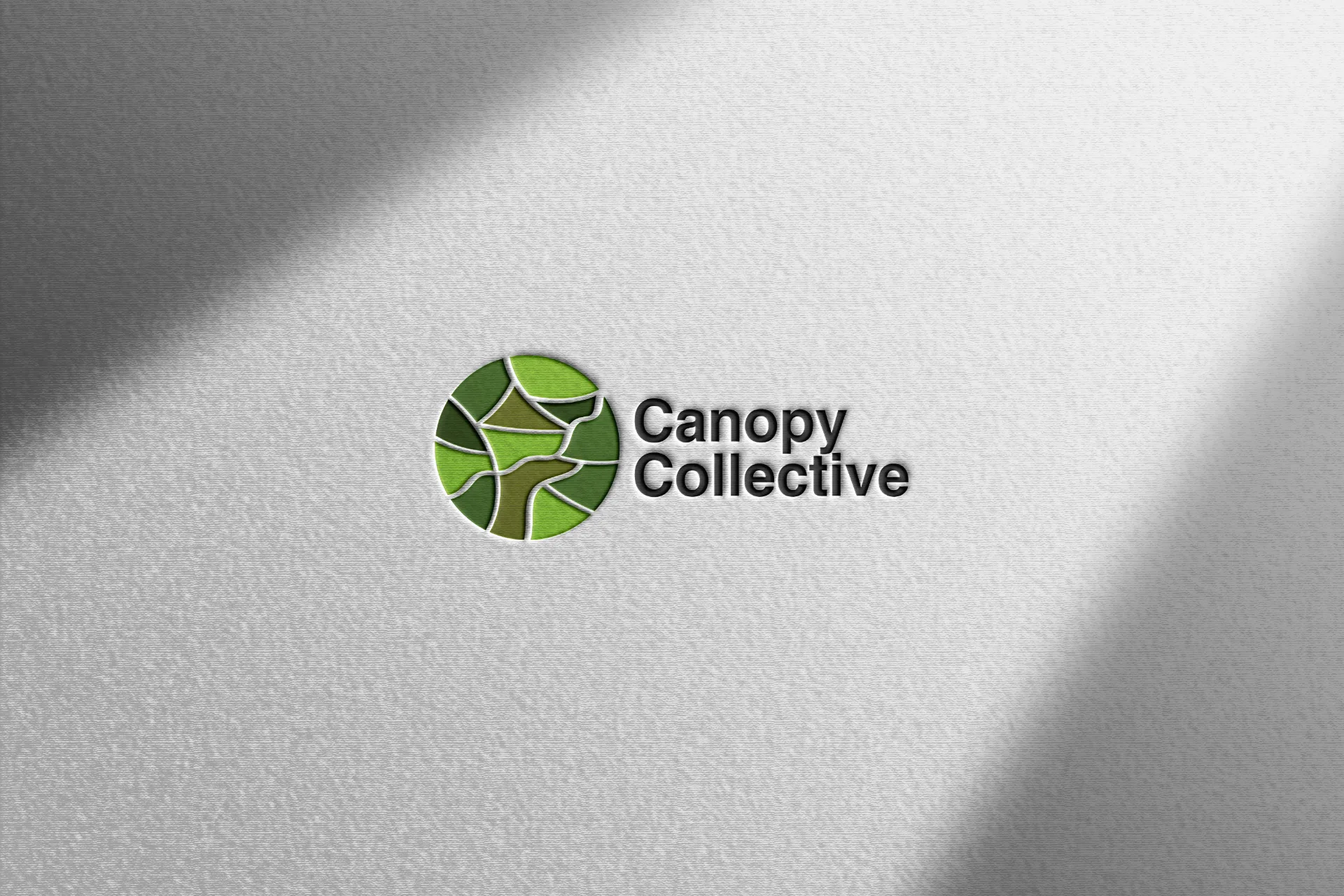 Canopy Collective - Logo on Textured Surface