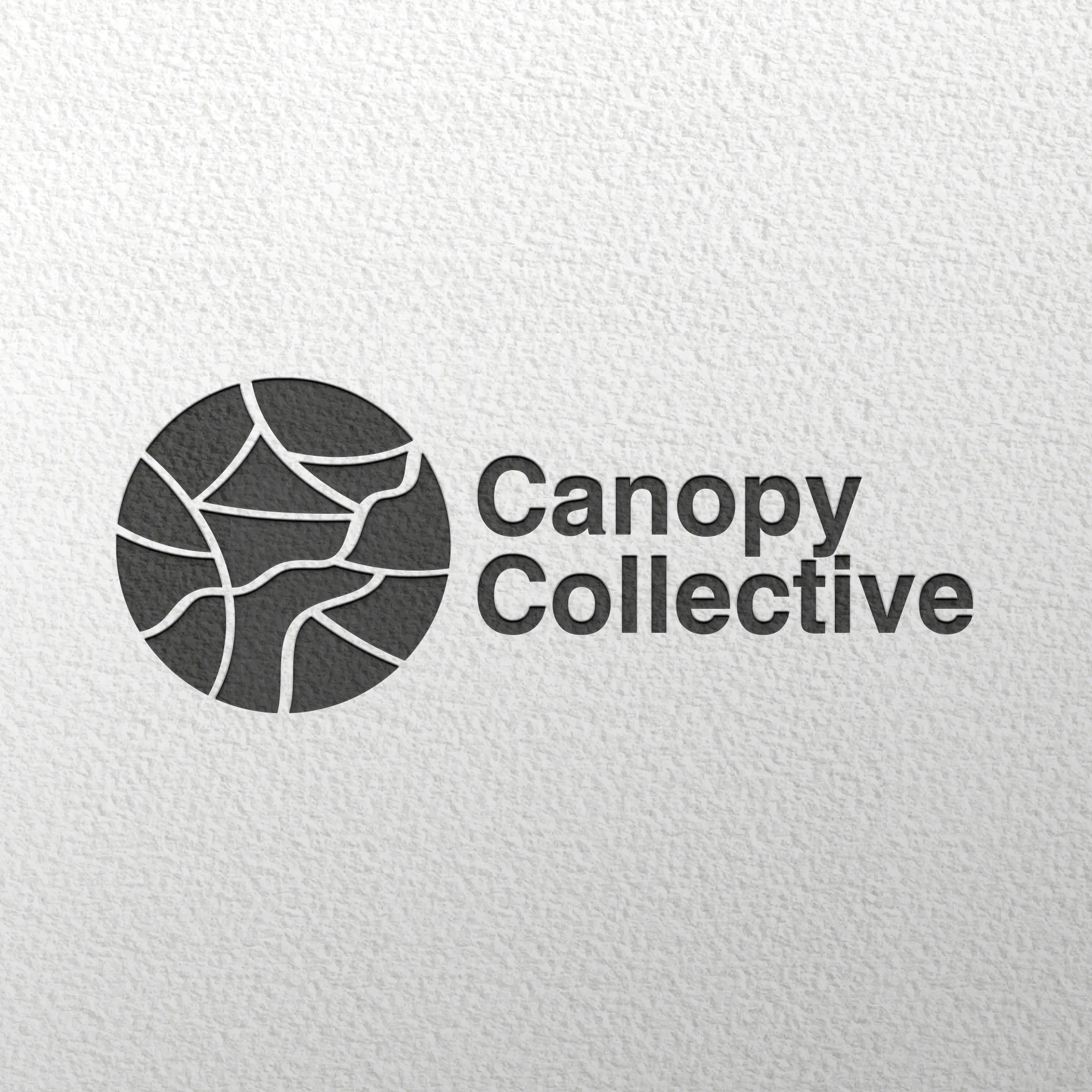 Canopy Collective - Logo Typography Layout