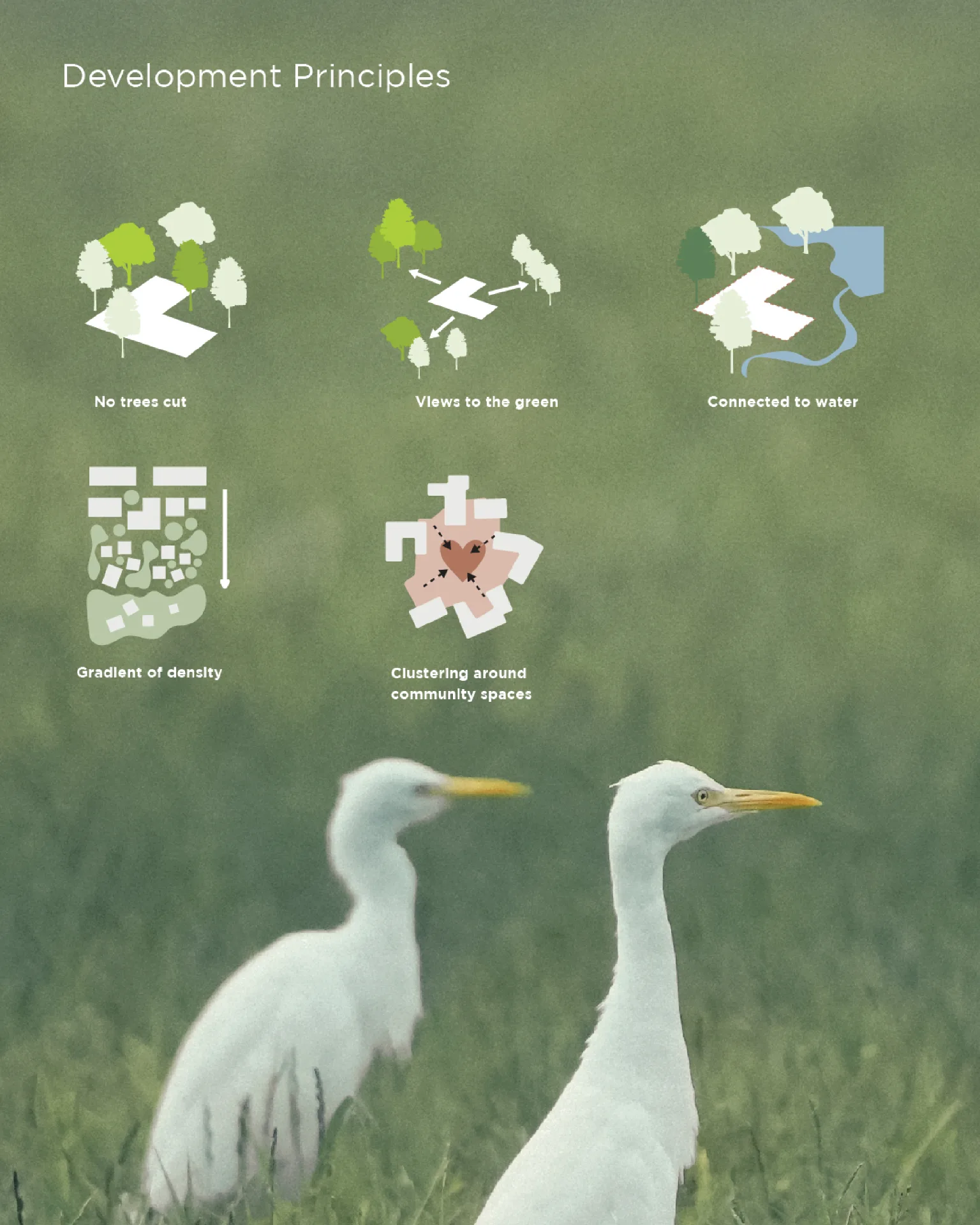 DHUN - Development Principles with ecological design diagrams