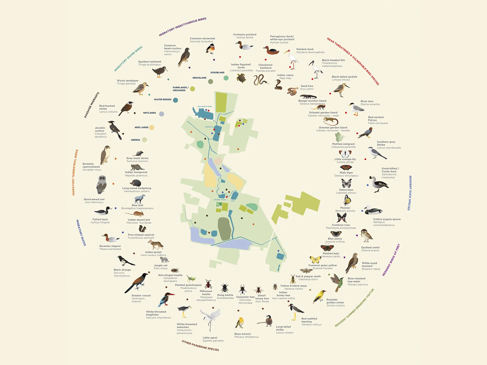 DHUN - Placebranding for a regenerative development near Jaipur.