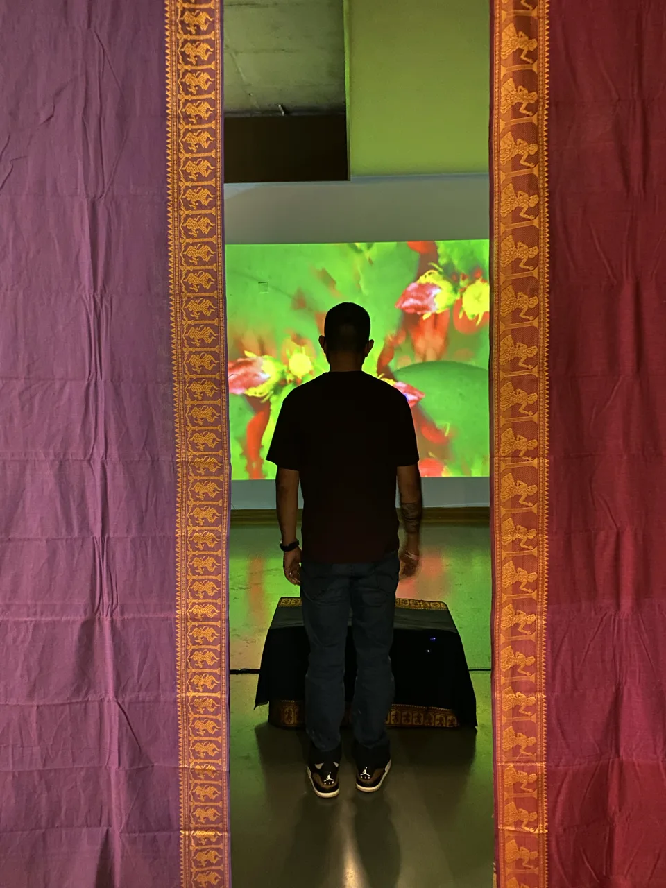 Give Me a Sign - Visitor silhouetted against Life & Growth projection through decorative entrance