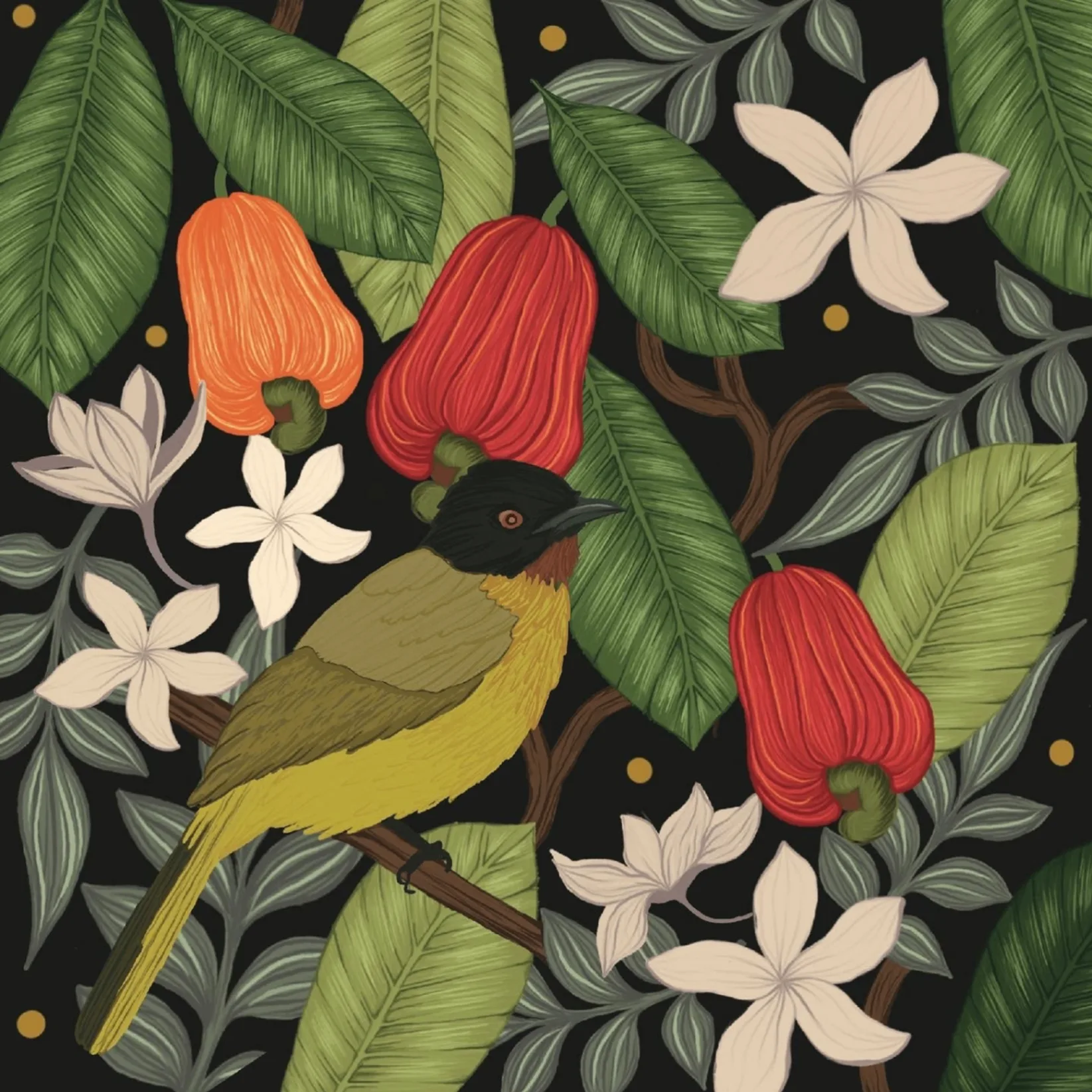 HOSA GOA - Tropical botanical illustration with yellow-bellied bulbul bird among red cashew flowers and tropical foliage