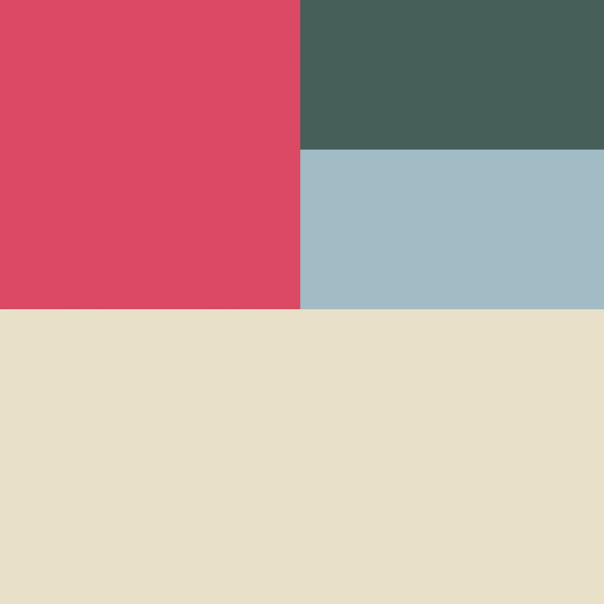 India Jones - Brand color palette and design elements inspired by Indian heritage