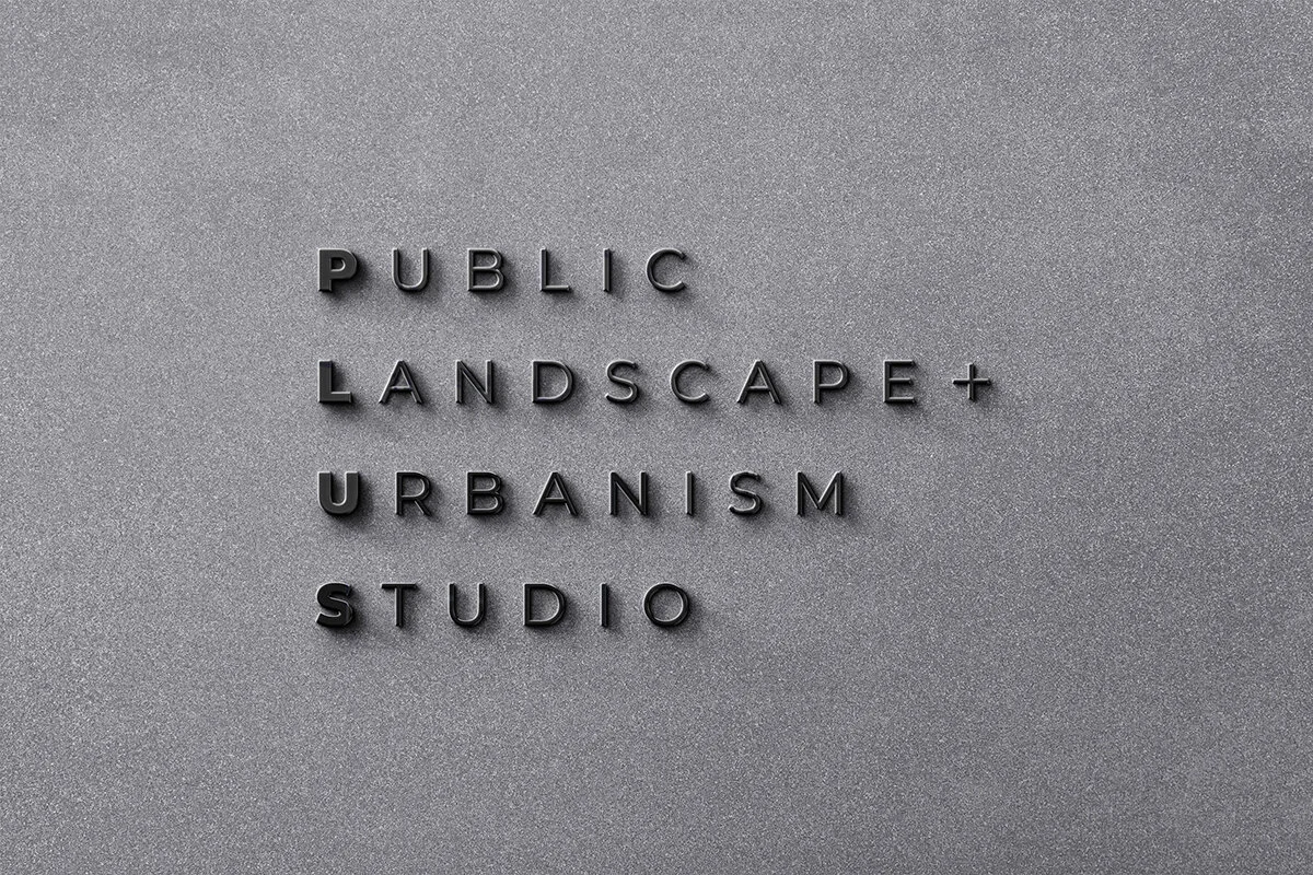 PLUS - Collaborative Practice