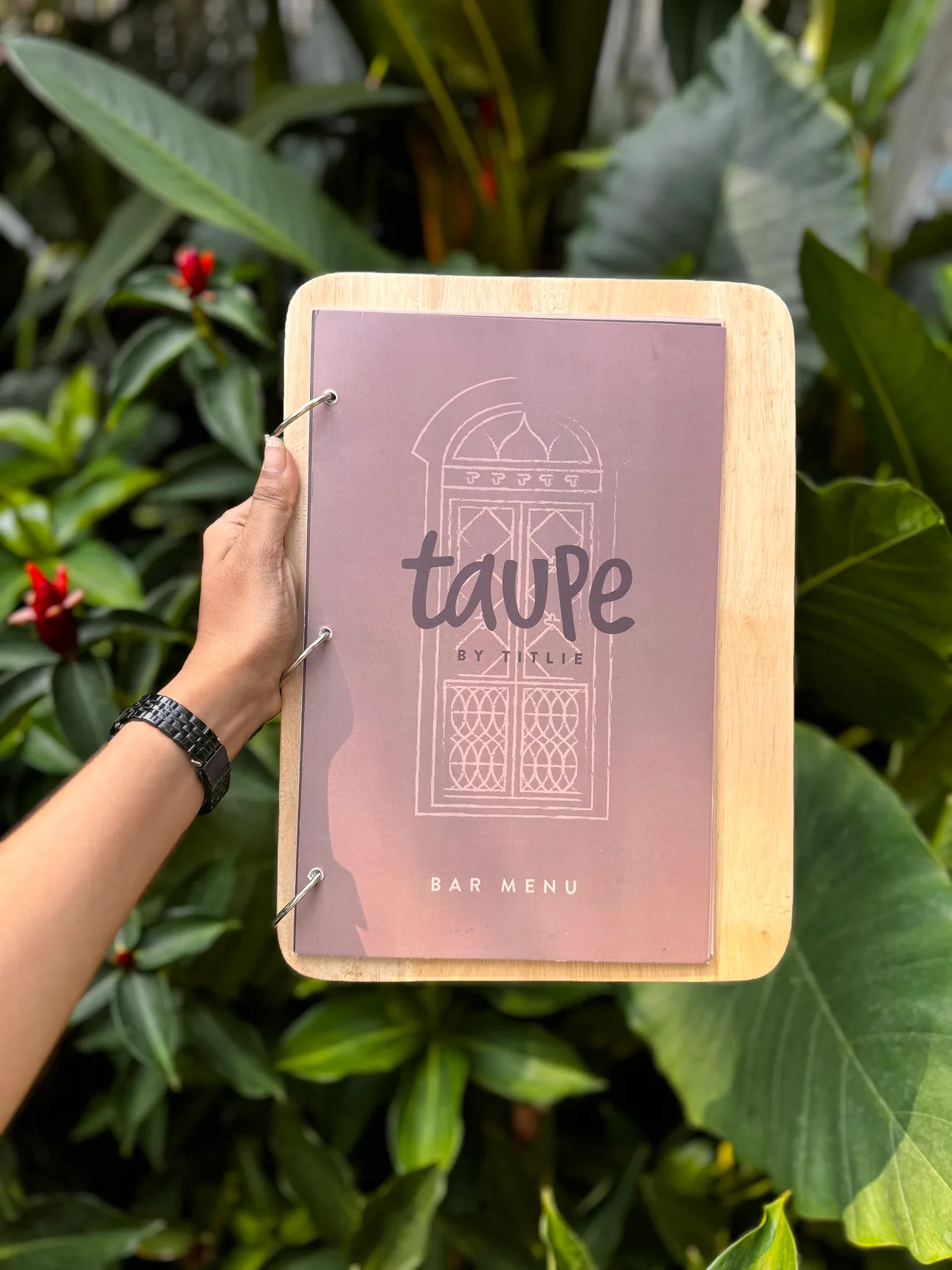 TAUPE bar menu held in natural garden setting showing wooden bound menu with Portuguese door design and brand logo