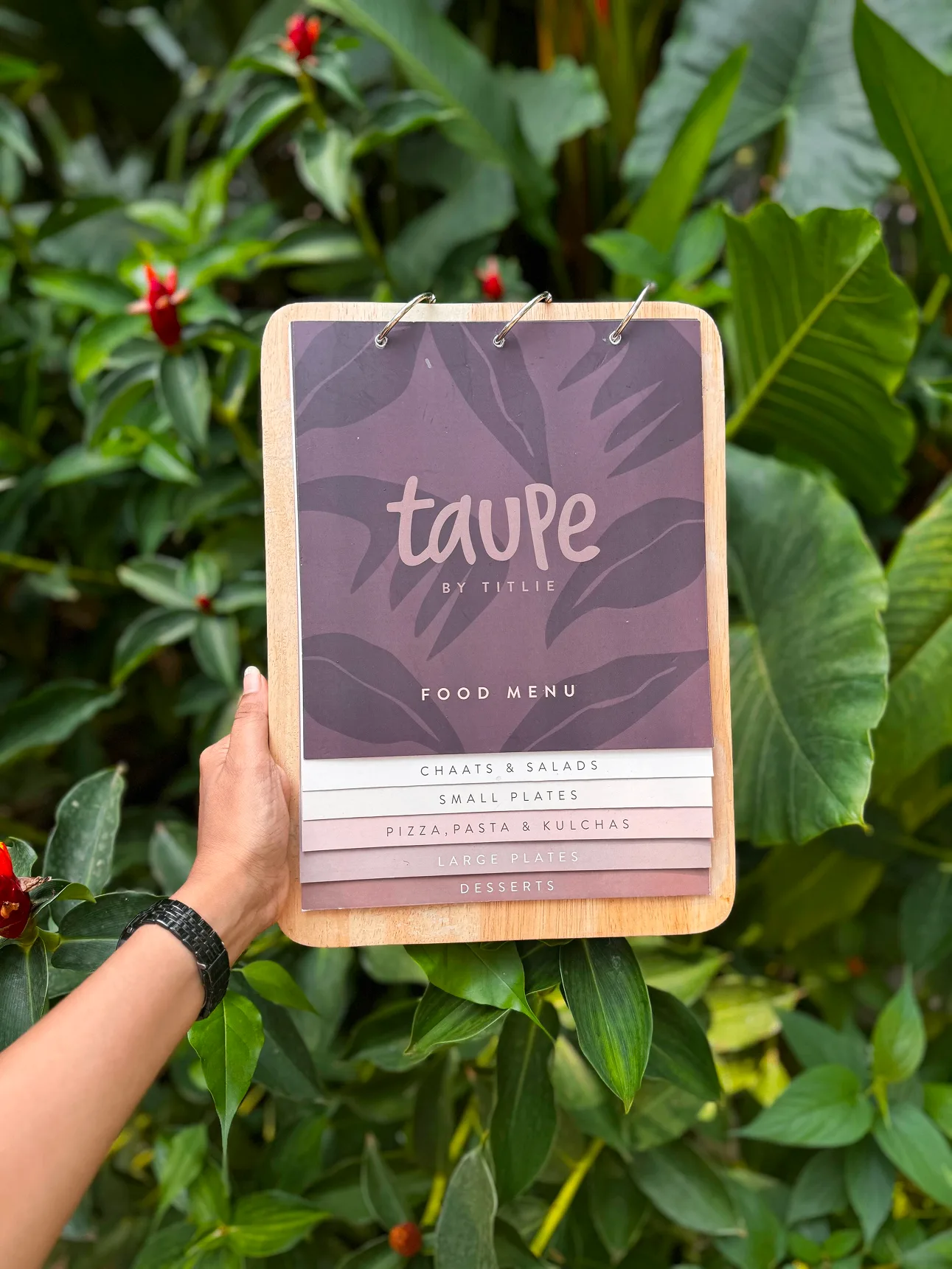 TAUPE food menu featuring botanical leaf pattern design with categorized sections for chaats, salads, small plates, and desserts