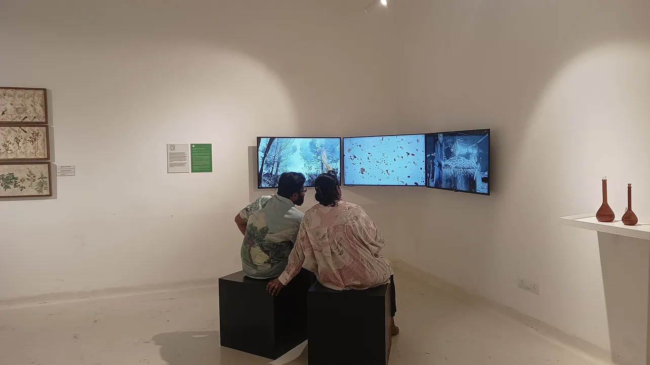 Gallery visitors examining interactive digital displays showing botanical content on wall-mounted screens