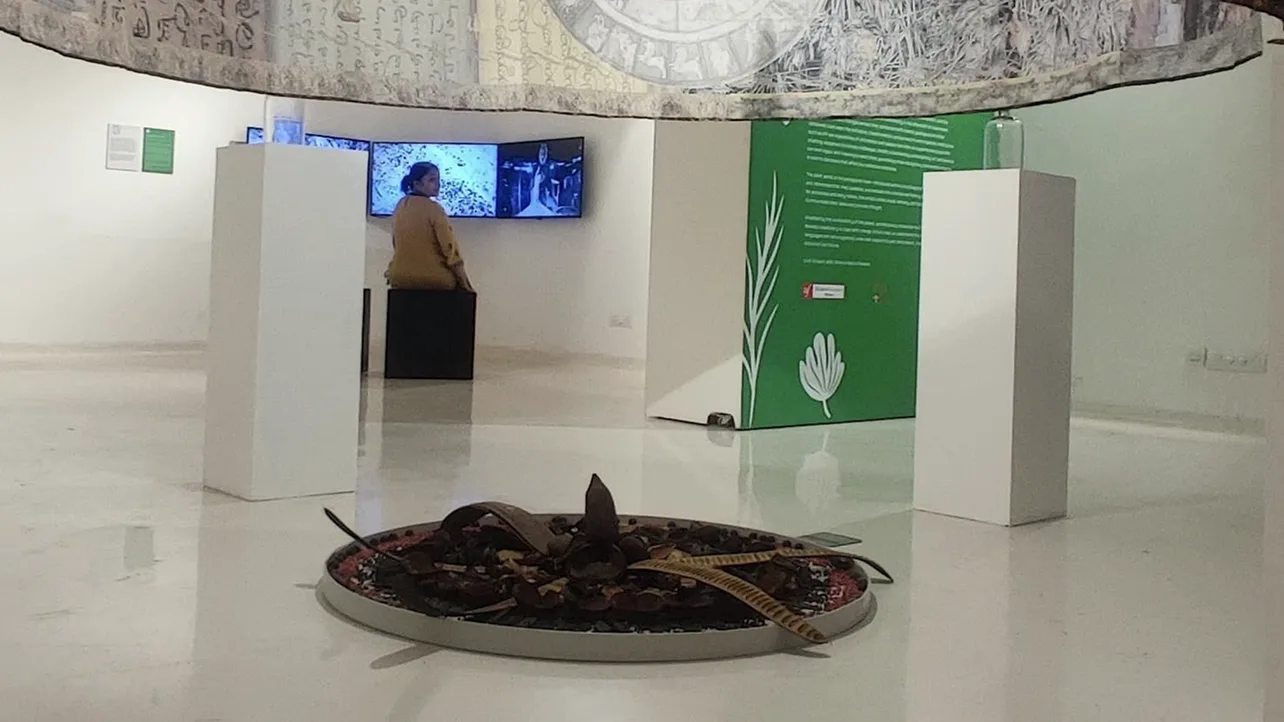 Central exhibition space with circular installation and multimedia displays showcasing botanical heritage